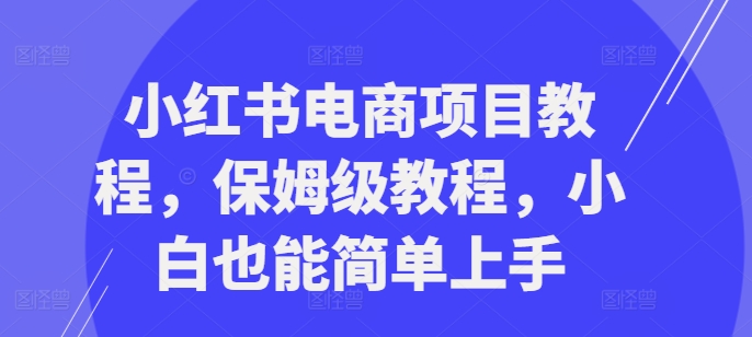 小红书电商项目教程，保姆级教程，小白也能简单上手-自媒体副业资源网