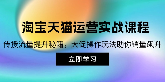 （12959期）淘宝&天猫运营实战课程，传授流量提升秘籍，大促操作玩法助你销量飙升-自媒体副业资源网