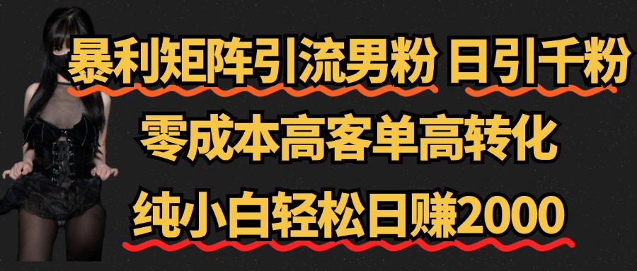 暴利矩阵引流男粉（日引千粉），零成本高客单高转化，纯小白轻松日赚2000+-自媒体副业资源网