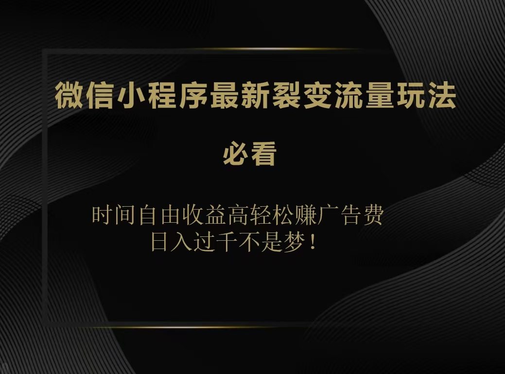 微信小程序最新裂变流量玩法，时间自由收益高轻松赚广告费，日入200-500+-自媒体副业资源网