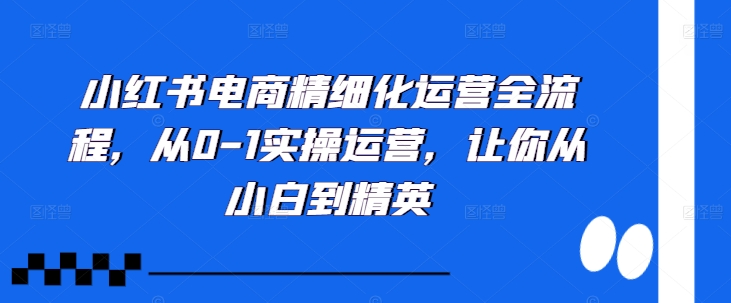 小红书电商精细化运营全流程，从0-1实操运营，让你从小白到精英-自媒体副业资源网