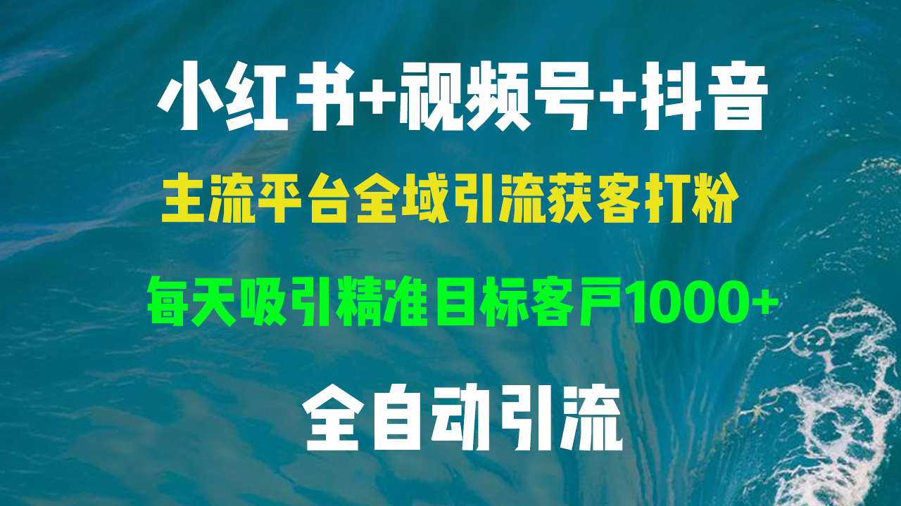 （13104期）小红书，视频号，抖音主流平台全域引流获客打粉，每天吸引精准目标客户…-自媒体副业资源网