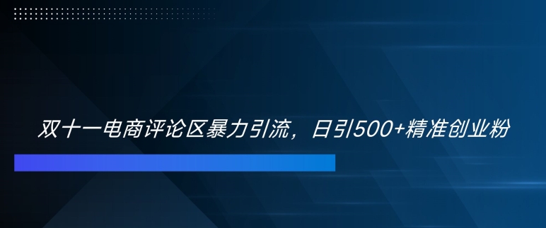 双十一电商评论区暴力引流，日引500+精准创业粉-自媒体副业资源网