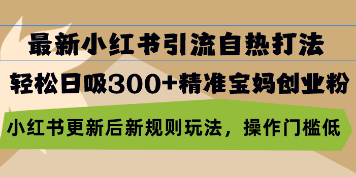 （13145期）最新小红书引流自热打法，轻松日吸300+精准宝妈创业粉，小红书更新后新…-自媒体副业资源网