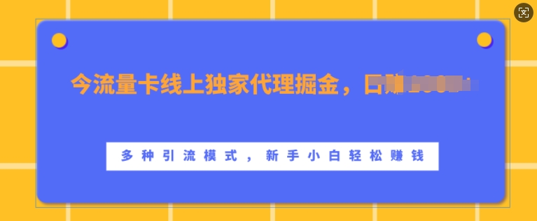 流量卡线上独家代理掘金，日入1k+ ，多种引流模式，新手小白轻松上手-自媒体副业资源网