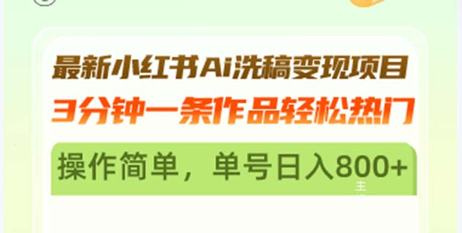 （13182期）最新小红书Ai洗稿变现项目 3分钟一条作品轻松热门 操作简单，单号日入800+-自媒体副业资源网