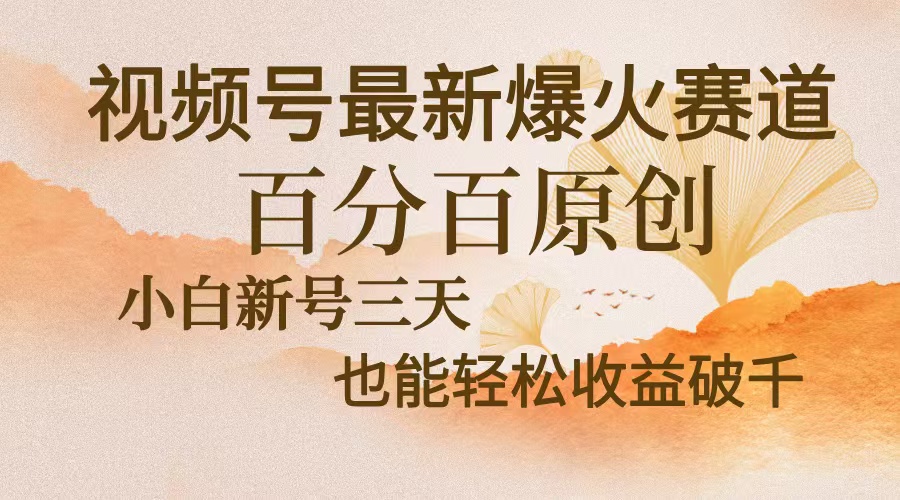 （13225期）视频号最新爆火赛道，中老年粉深信不疑，百分百原创，新号三天收益轻松…-自媒体副业资源网