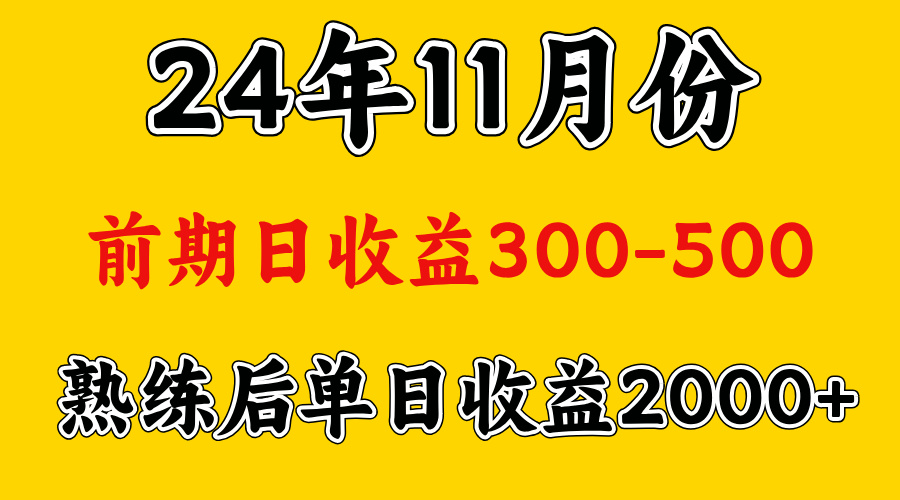 轻资产项目，前期日收益500左右，后期日收益1500-2000左右，多劳多得-自媒体副业资源网