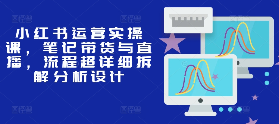 小红书运营实操课，笔记带货与直播，流程超详细拆解分析设计-自媒体副业资源网