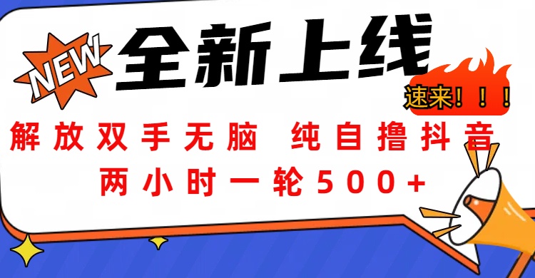 解放双手无脑 纯自撸抖音 两小时一轮500+-自媒体副业资源网